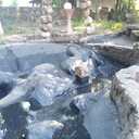 For the scorching heatwave we cleaned and are filling up the splash pond for you to cool down in.